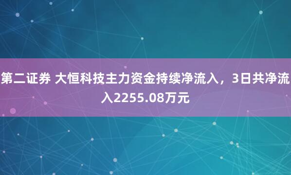 第二证券 大恒科技主力资金持续净流入，3日共净流入2255.08万元