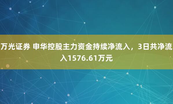 万光证券 申华控股主力资金持续净流入，3日共净流入1576.61万元