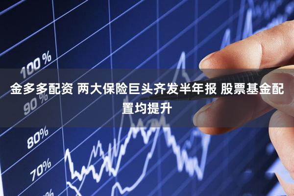 金多多配资 两大保险巨头齐发半年报 股票基金配置均提升