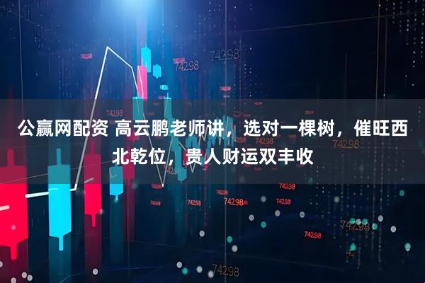 公赢网配资 高云鹏老师讲，选对一棵树，催旺西北乾位，贵人财运双丰收
