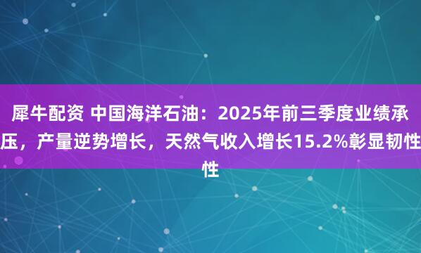 犀牛配资 中国海洋石油：2025年前三季度业绩承压，产量逆势增长，天然气收入增长15.2%彰显韧性