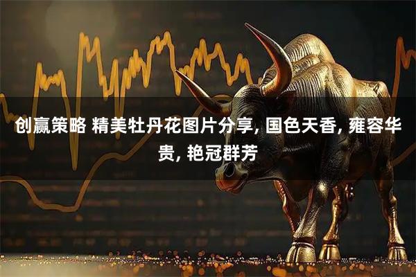创赢策略 精美牡丹花图片分享, 国色天香, 雍容华贵, 艳冠群芳